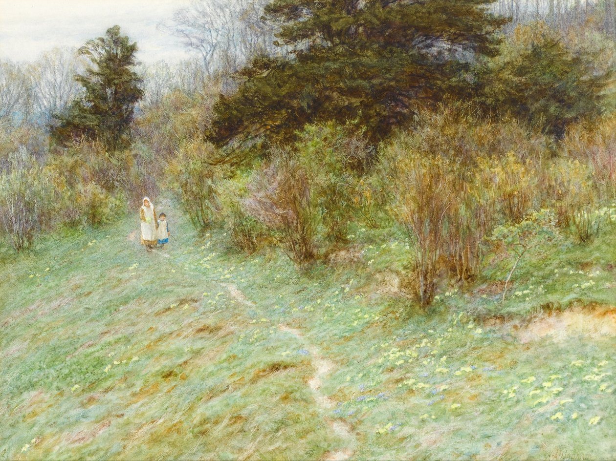 Primroses a Surrey Heath-en (wc papíron) alkotó: Helen Allingham