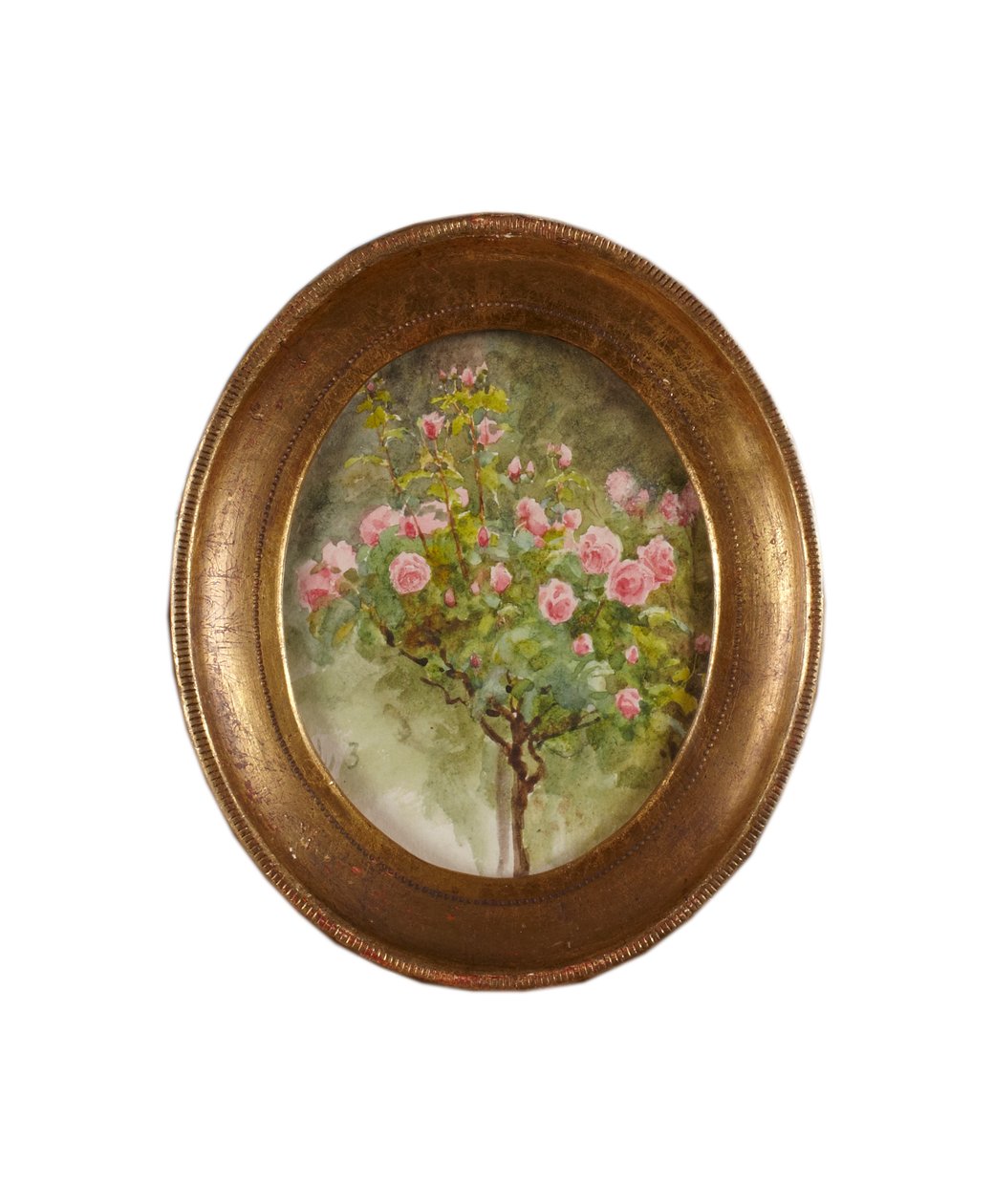 Rózsabokor (akvarell papíron) alkotó: Helen Allingham