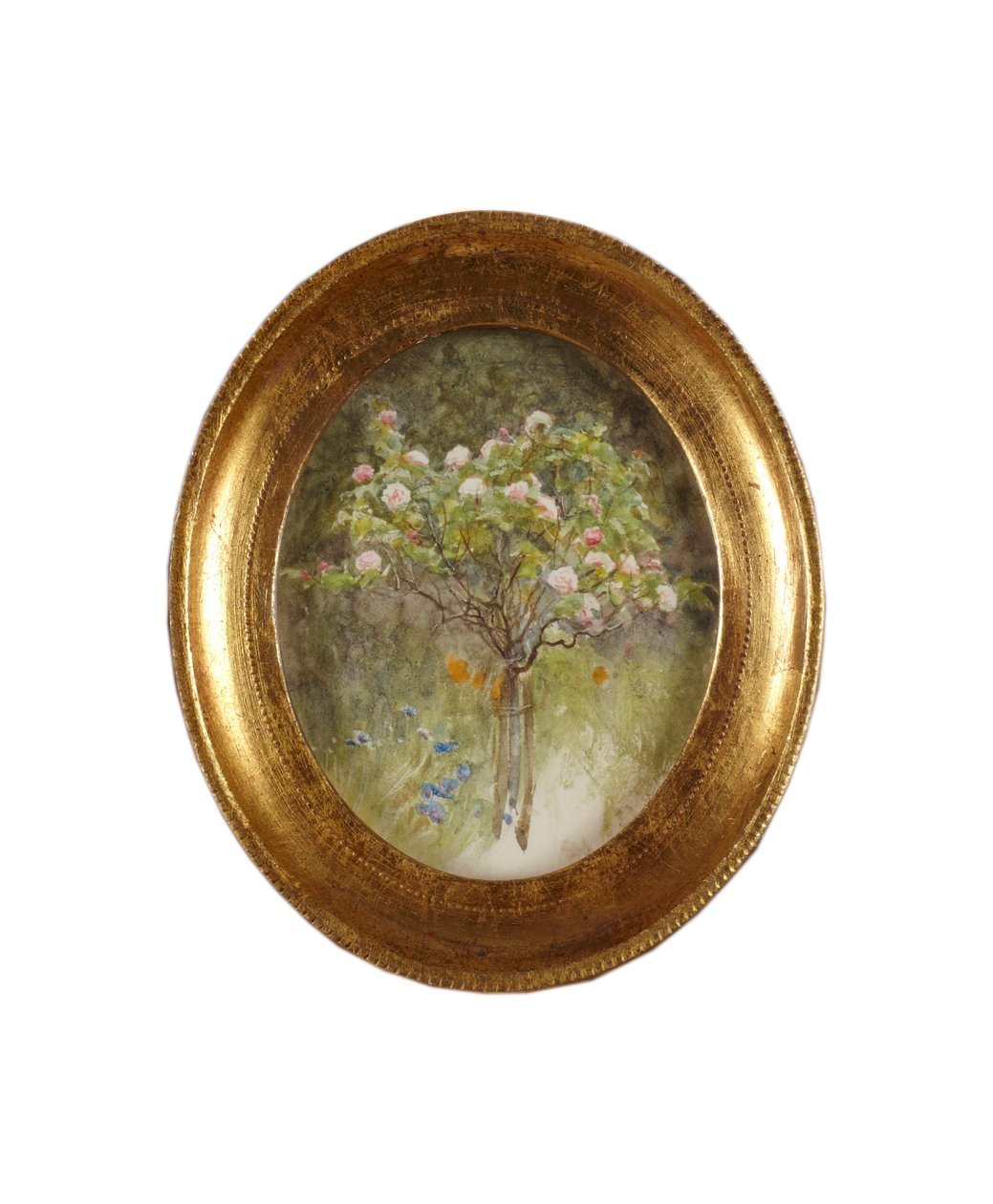 Rózsabokor és íriszek (akvarell papíron) alkotó: Helen Allingham
