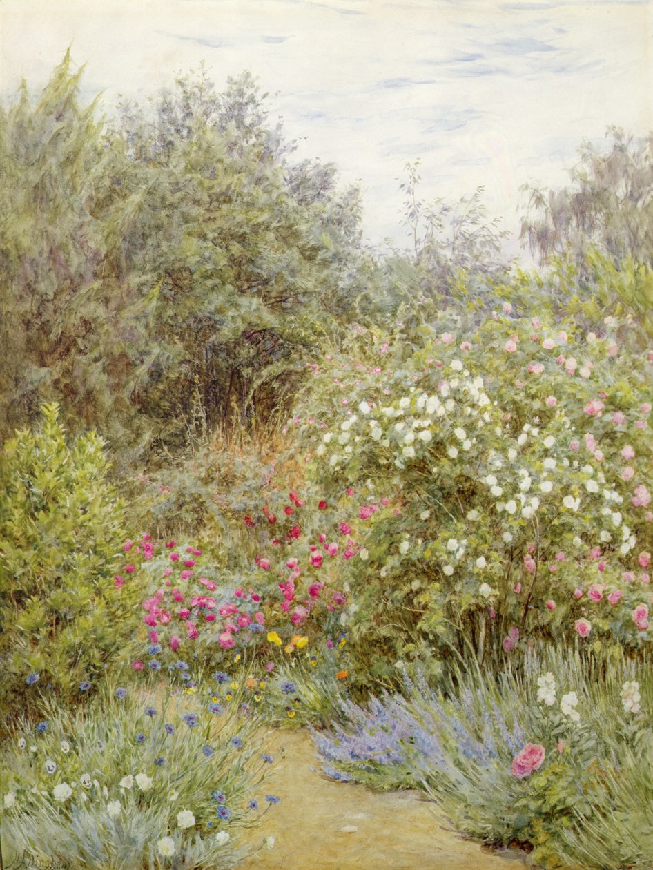 Rózsák Gertrude Jekyll kertjében, Surrey (akvarell papíron) alkotó: Helen Allingham