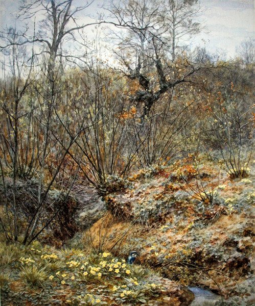 Tavaszi copse, Witley, Surrey (akvarell papíron) alkotó: Helen Allingham