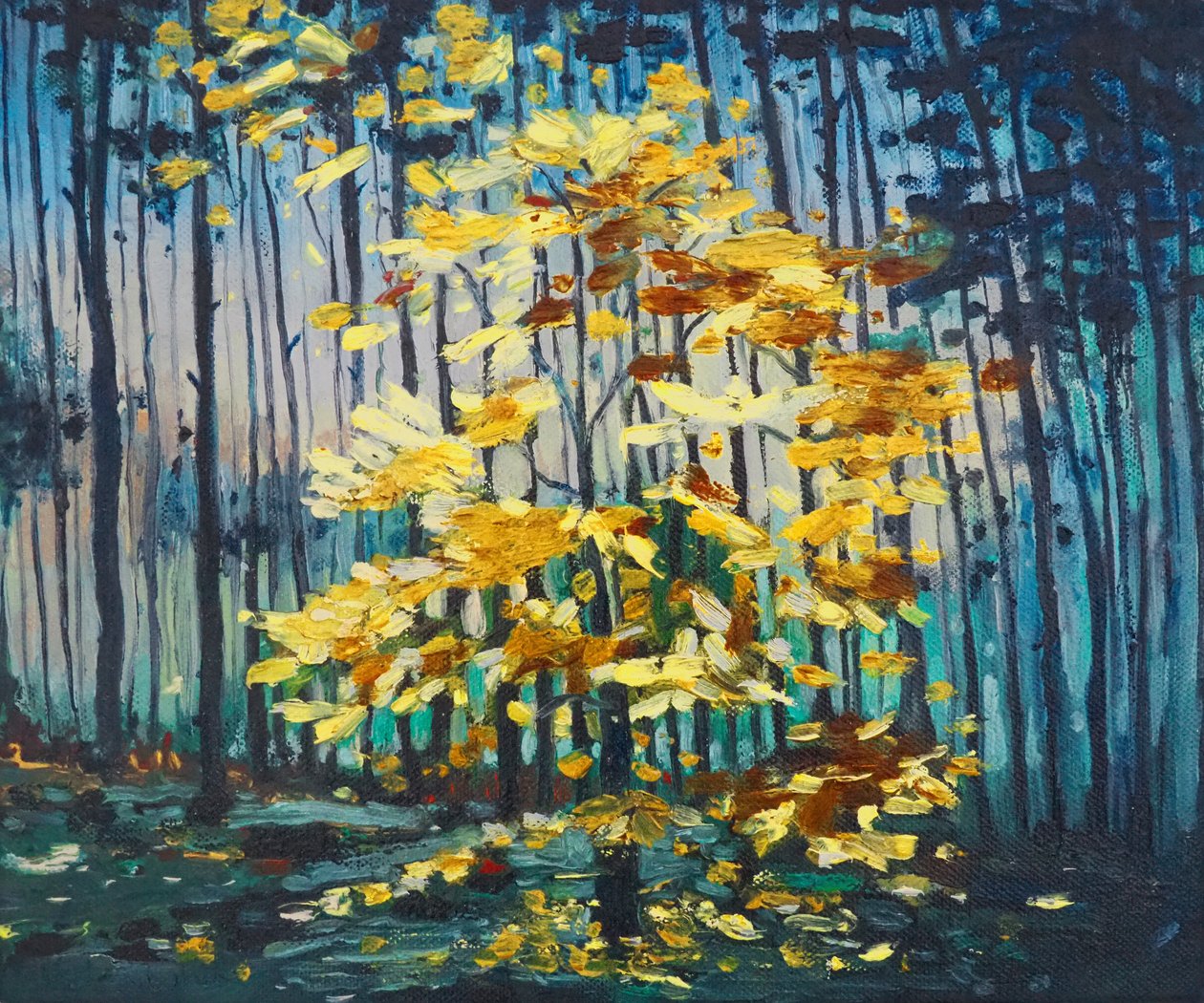 Őszi bükk, 2008 alkotó: Helen White