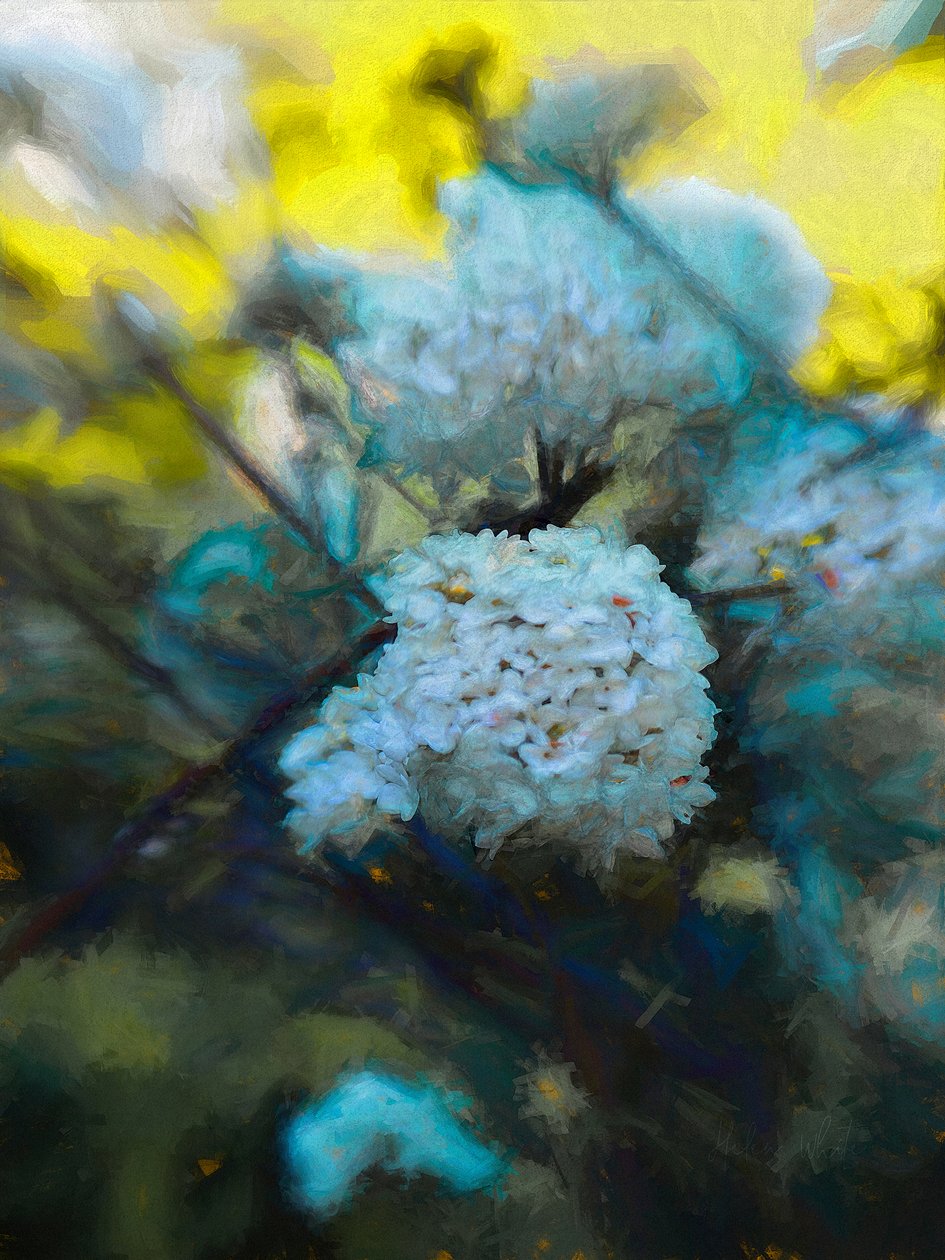 Virágzó május, 2019 alkotó: Helen White