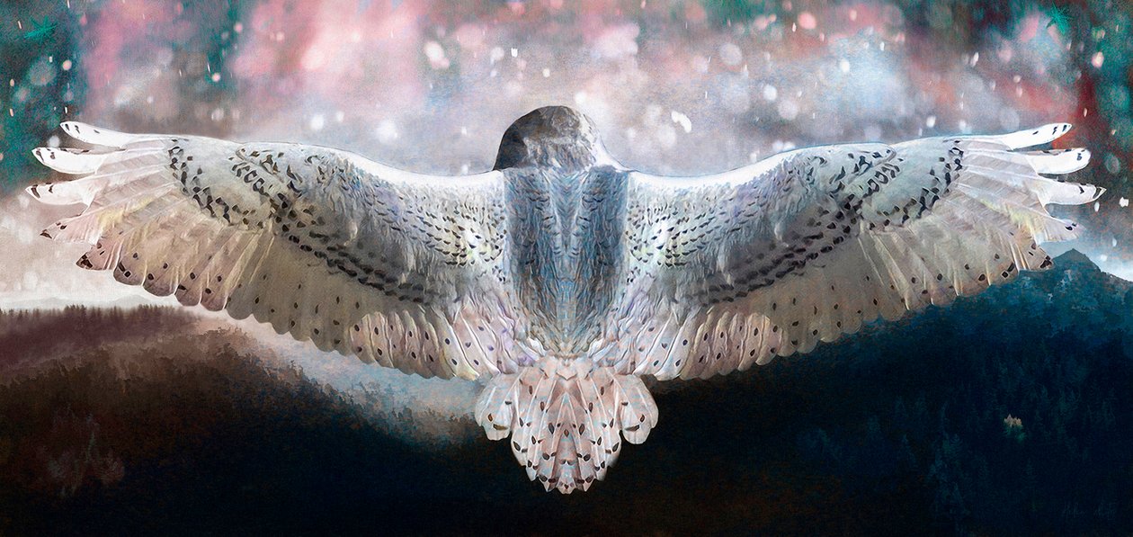 Merj repülni, 2019 alkotó: Helen White