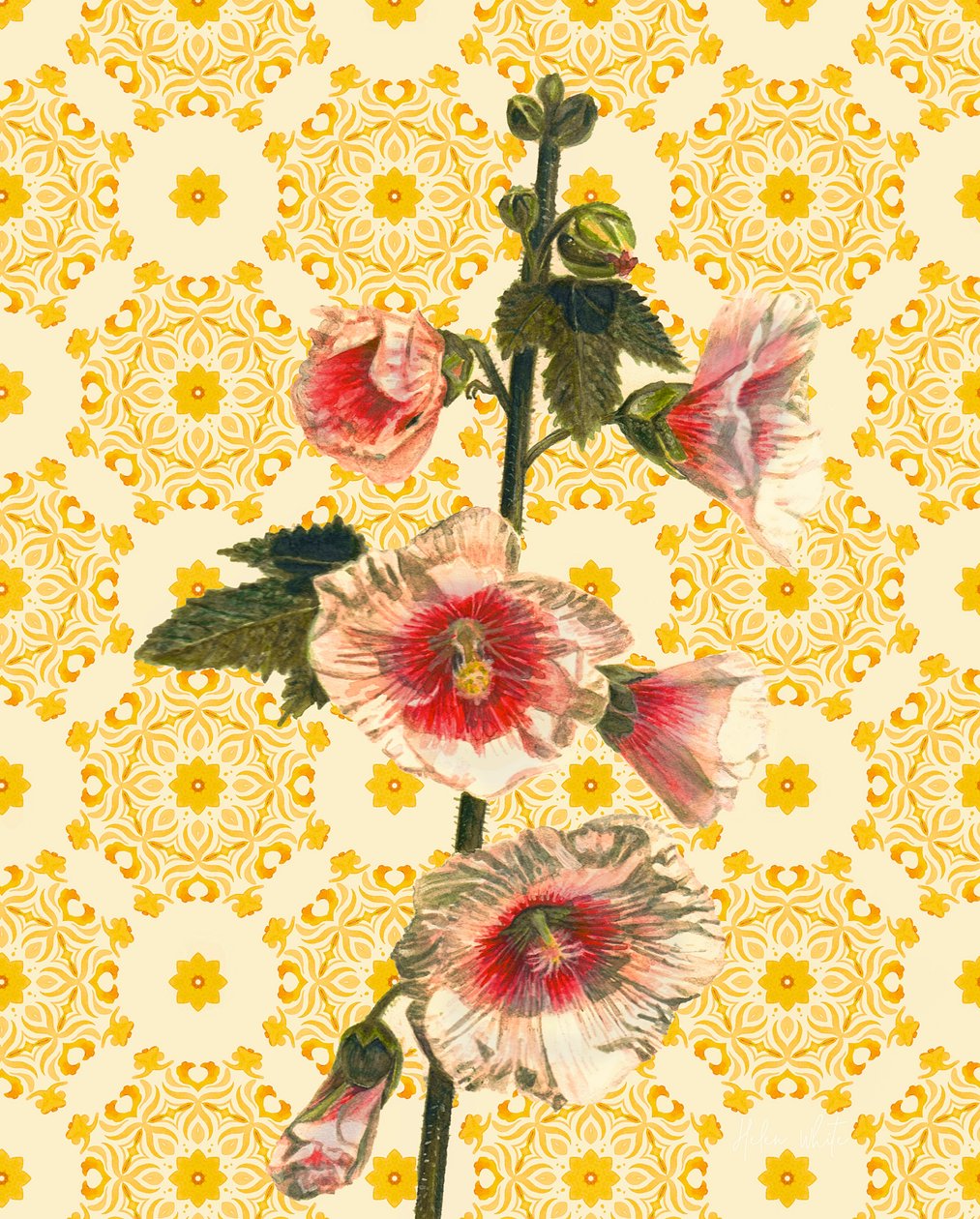 Hollyhocks on Sunshine, 2021 (akvarell) alkotó: Helen White