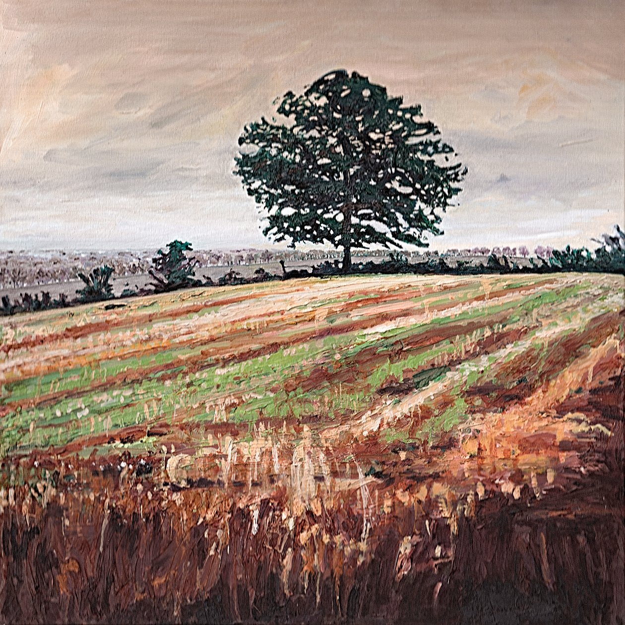 Késő délutáni mezőny, 2009 alkotó: Helen White