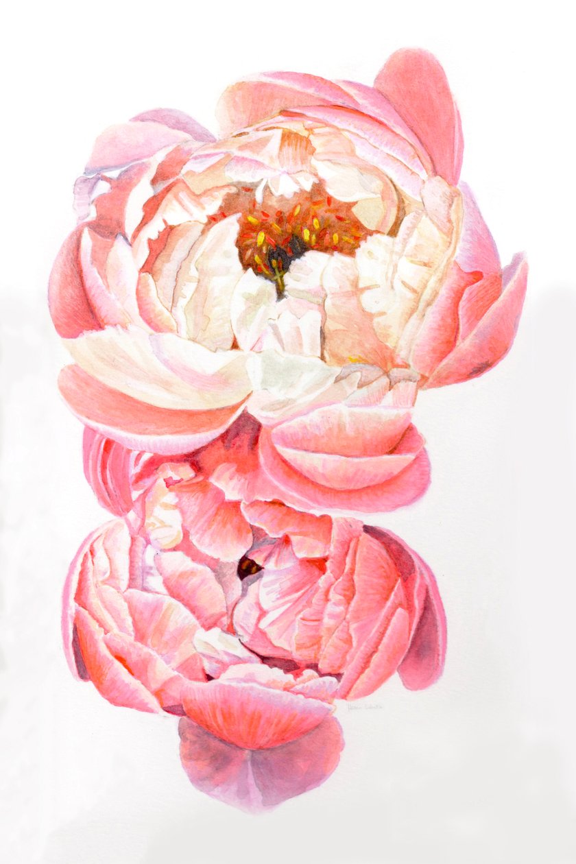 alkotó: Helen White