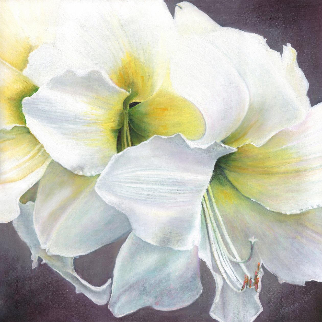Tiszta potenciál, 2016, alkotó: Helen White