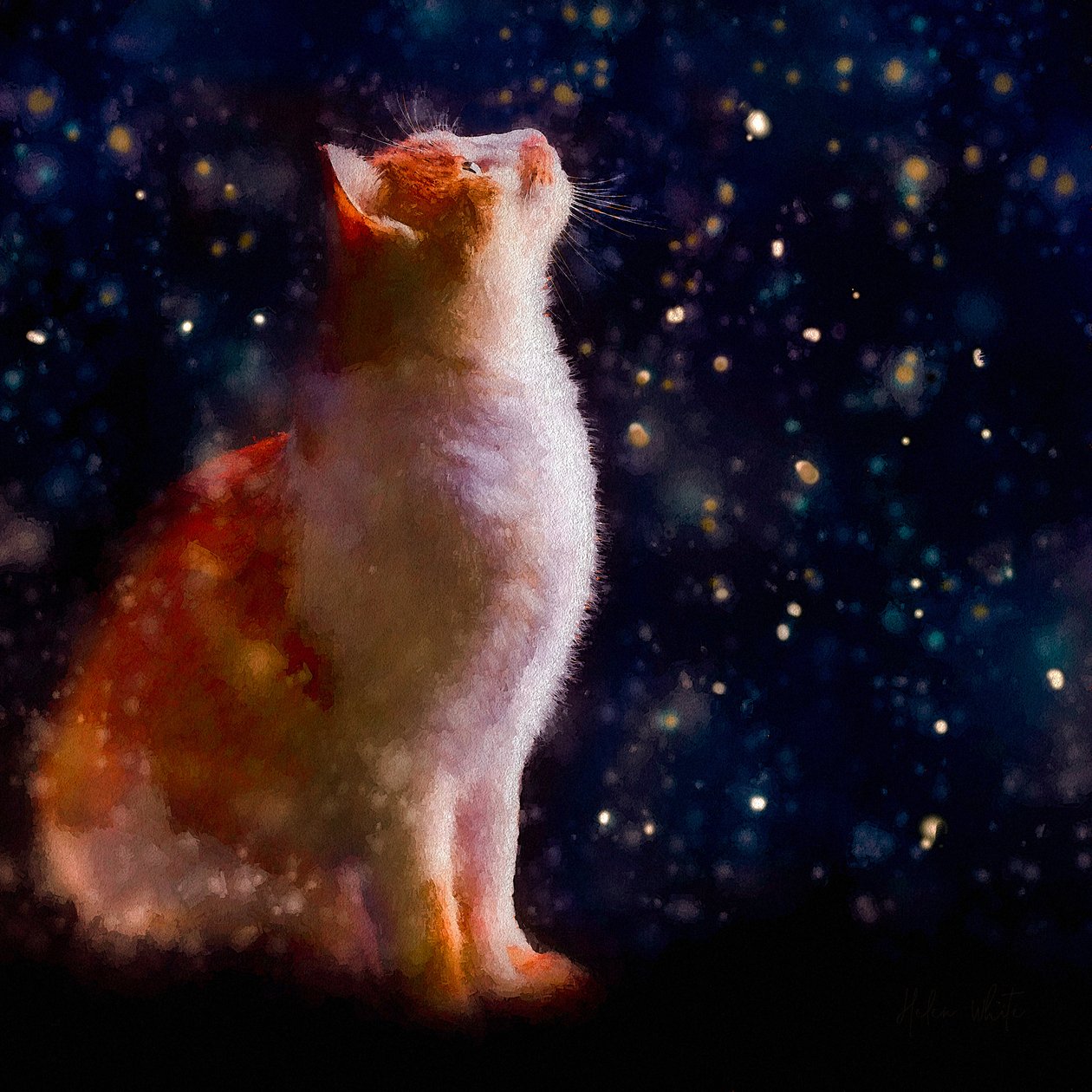 Snow Gazing, 2019 alkotó: Helen White
