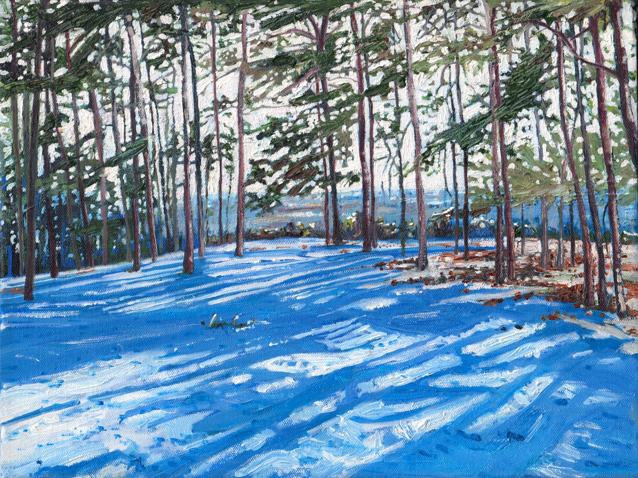 Snowy Ridge, 2009 alkotó: Helen White