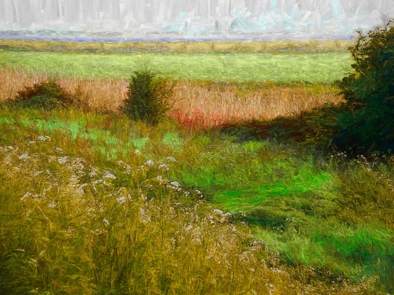 Nyári rét, 2019 alkotó: Helen White