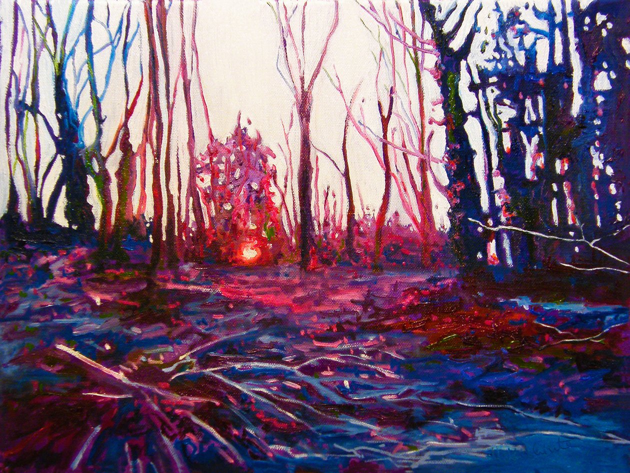 Naplemente fagyos mezőn, 2009 (olaj, vászon) alkotó: Helen White