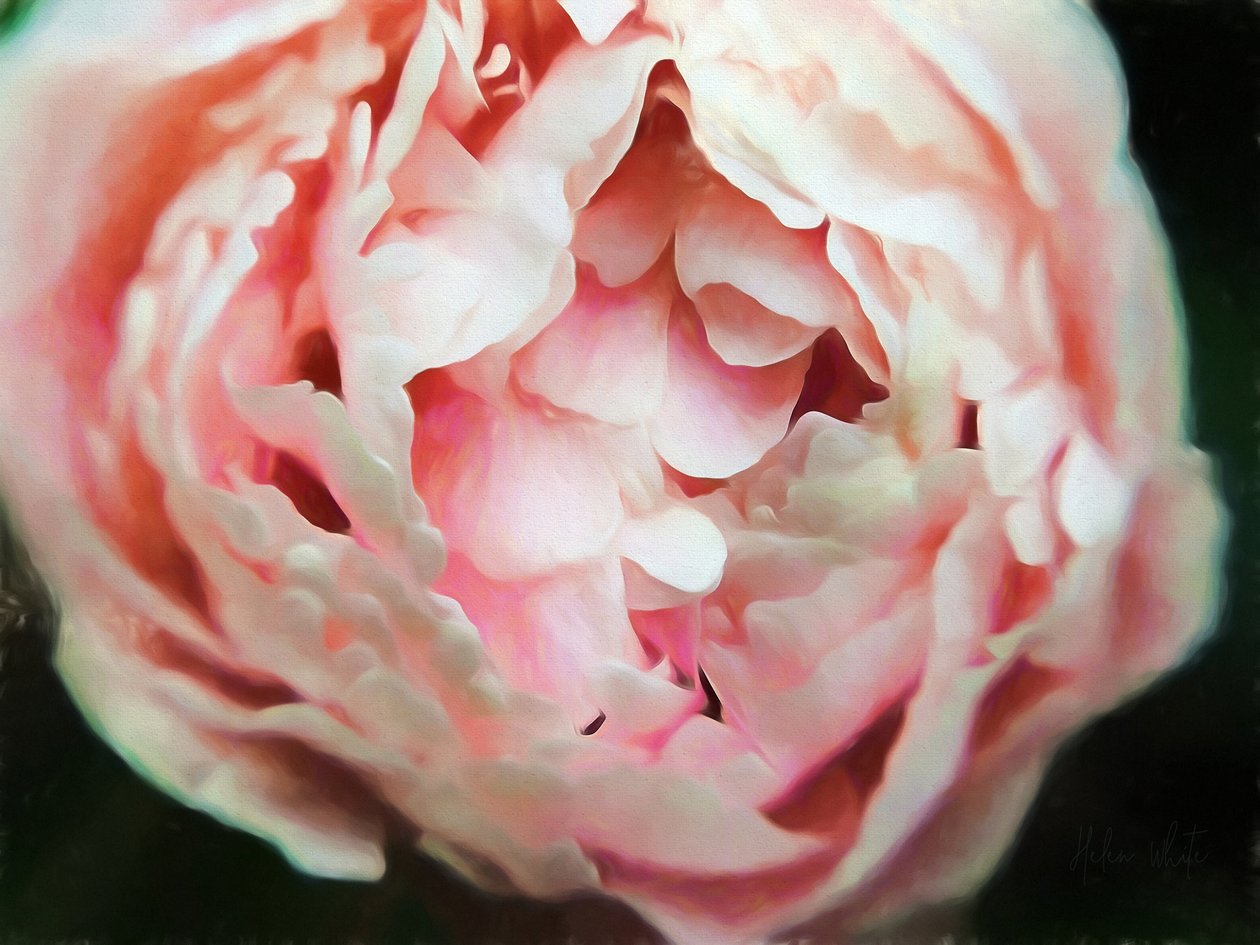 Gyengéd szív, 2018, alkotó: Helen White