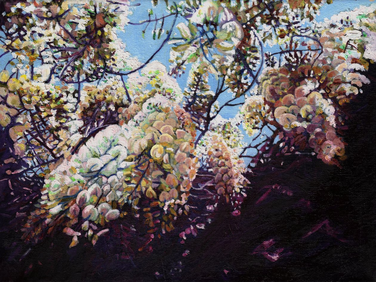 White Wisteria, 2012, alkotó: Helen White
