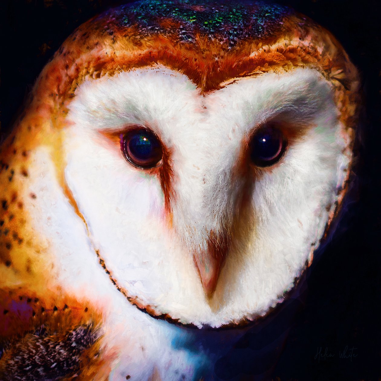 Wisdom in the Dark, 2019 (vegyes média) alkotó: Helen White