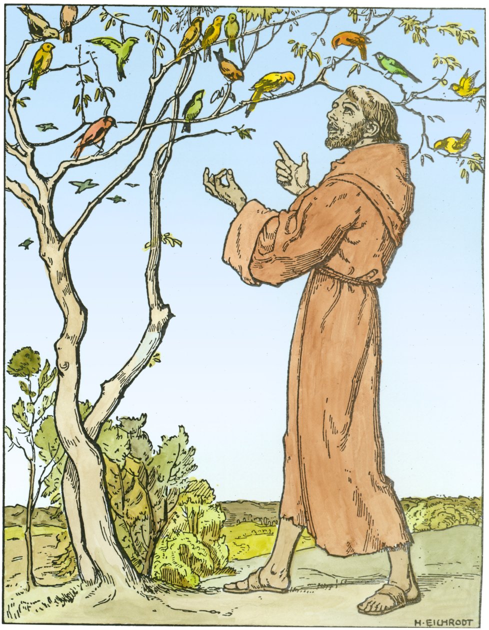 Assisi Szent Ferenc (kb.1181-1226) a madaraknak prédikál (későbbi színezés) alkotó: Hellmut Eichrodt