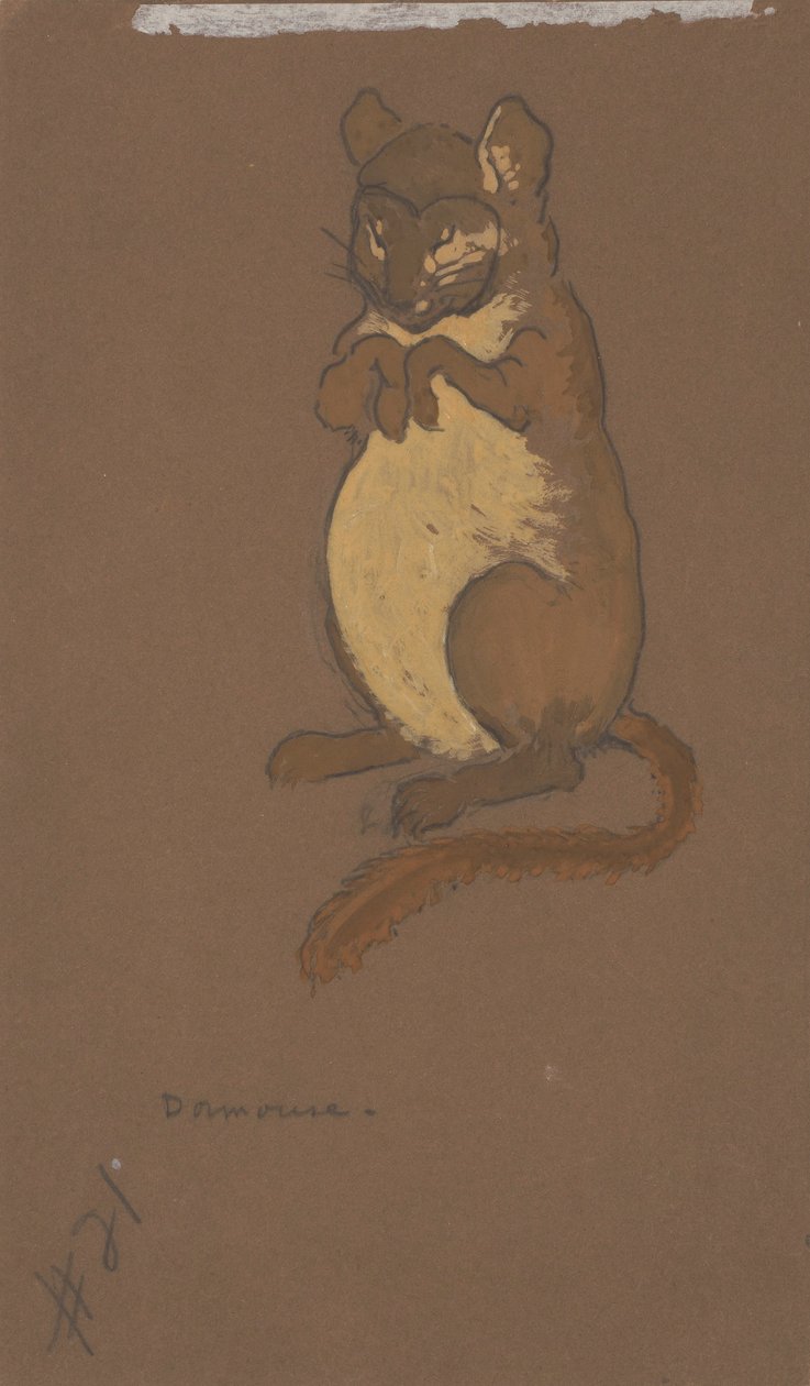 Dormouse (jelmezterv az Alice Csodaországban című filmhez, 1915) alkotó: Henderson, William Penhallow