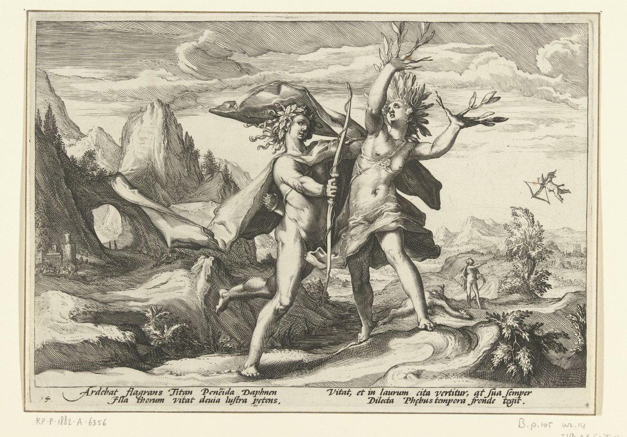 Daphne babérfává változik Ovidius metamorfózisai (sorozat címe) alkotó: Hendrick Goltzius (workshop of)