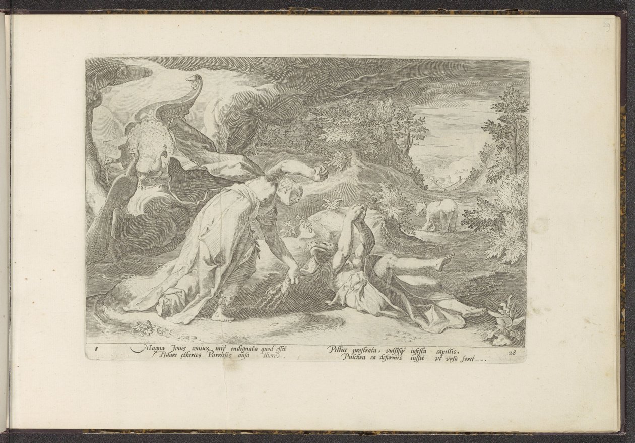 Juno Callistót medvévé változtatja Ovidius metamorfózisai (sorozat címe) P. Ovidius Naso rekreációi (sorozat címe) alkotó: Hendrick Goltzius (workshop of)