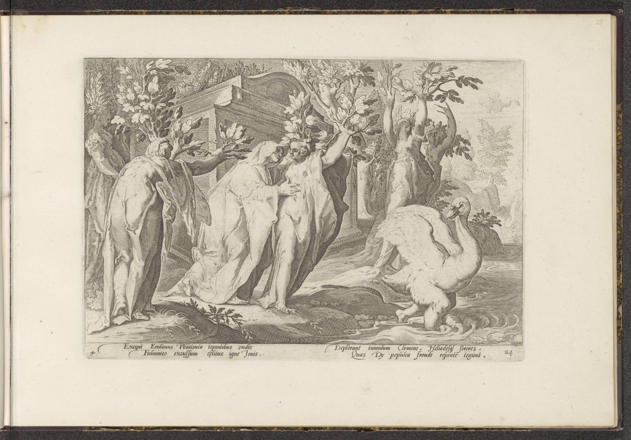 Phaethon nővérei nyárfává, barátja hattyúvá változnak Ovidius metamorfózisai (sorozat címe) P. Ovidius Naso rekreációi (sorozat címe) alkotó: Hendrick Goltzius (workshop of)