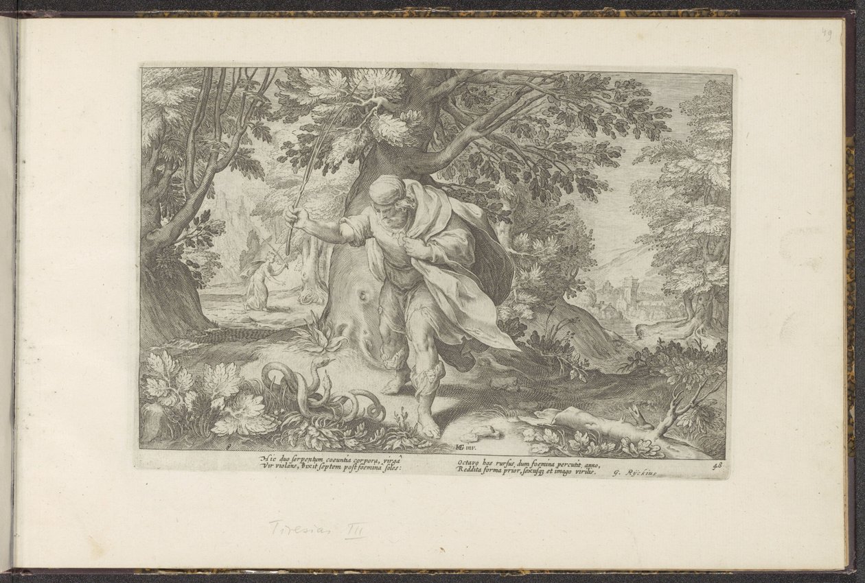 Tiiresias megüt két párosodó kígyót Ovidius metamorfózisai (sorozat címe) P. Ovidius Naso újraalkotásai (sorozat címe) alkotó: Hendrick Goltzius (workshop of)