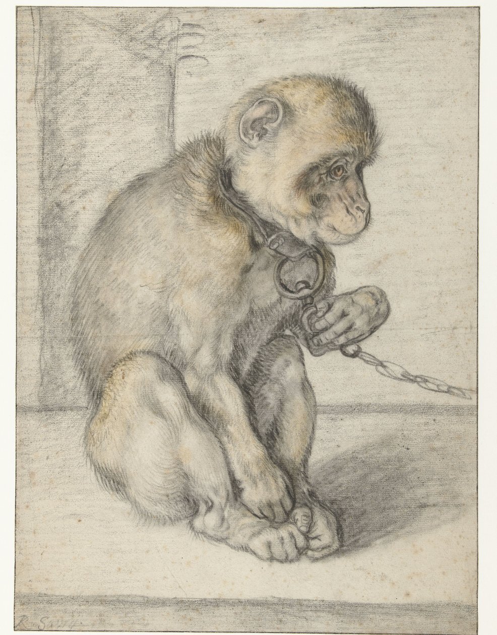 Egy ülő majom a láncon Majom a láncon, ülve alkotó: Hendrick Goltzius