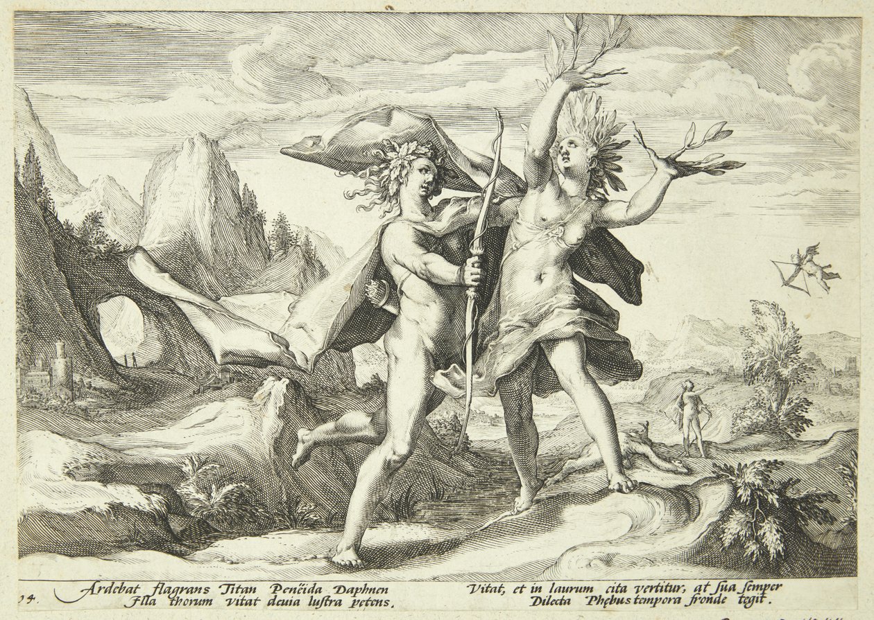 Daphne babérfává változott alkotó: Hendrick Goltzius