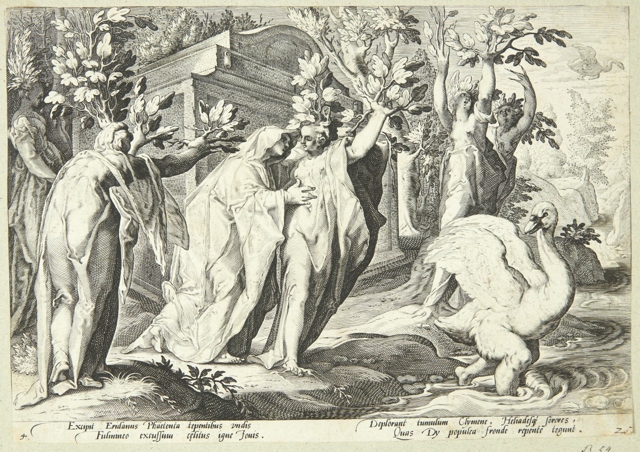 Phaeton nővérei nyárfává, Cygnus pedig hattyúvá változik alkotó: Hendrick Goltzius