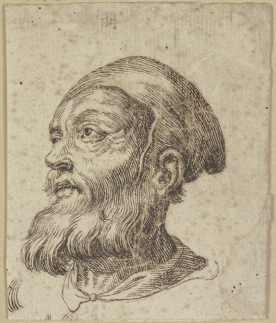 Egy idős férfi feje háromnegyed profilból balra nézve alkotó: Hendrick Goltzius
