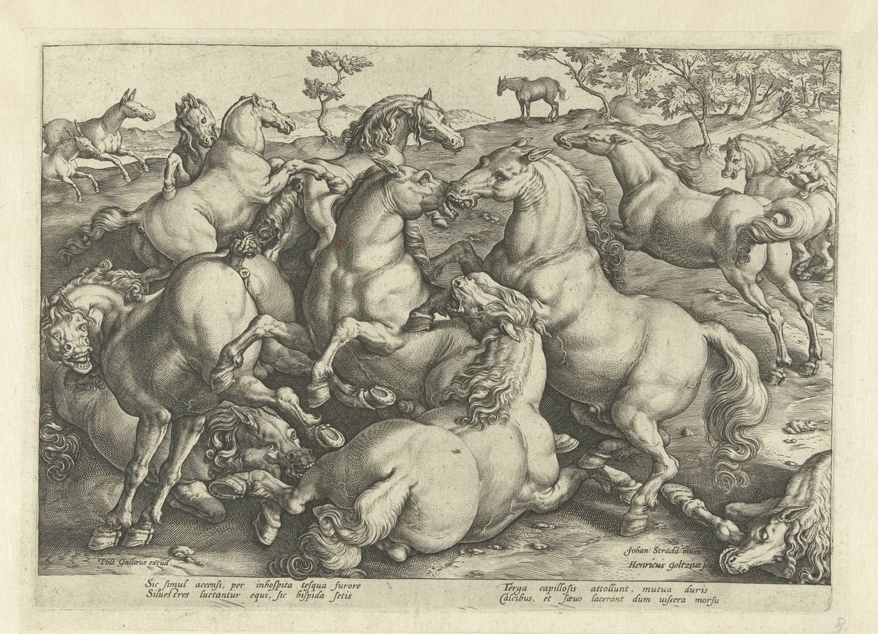 Tizenkét harci ló Lófajták az osztrák Don Juan királyi istállójából (sorozat címe) alkotó: Hendrick Goltzius