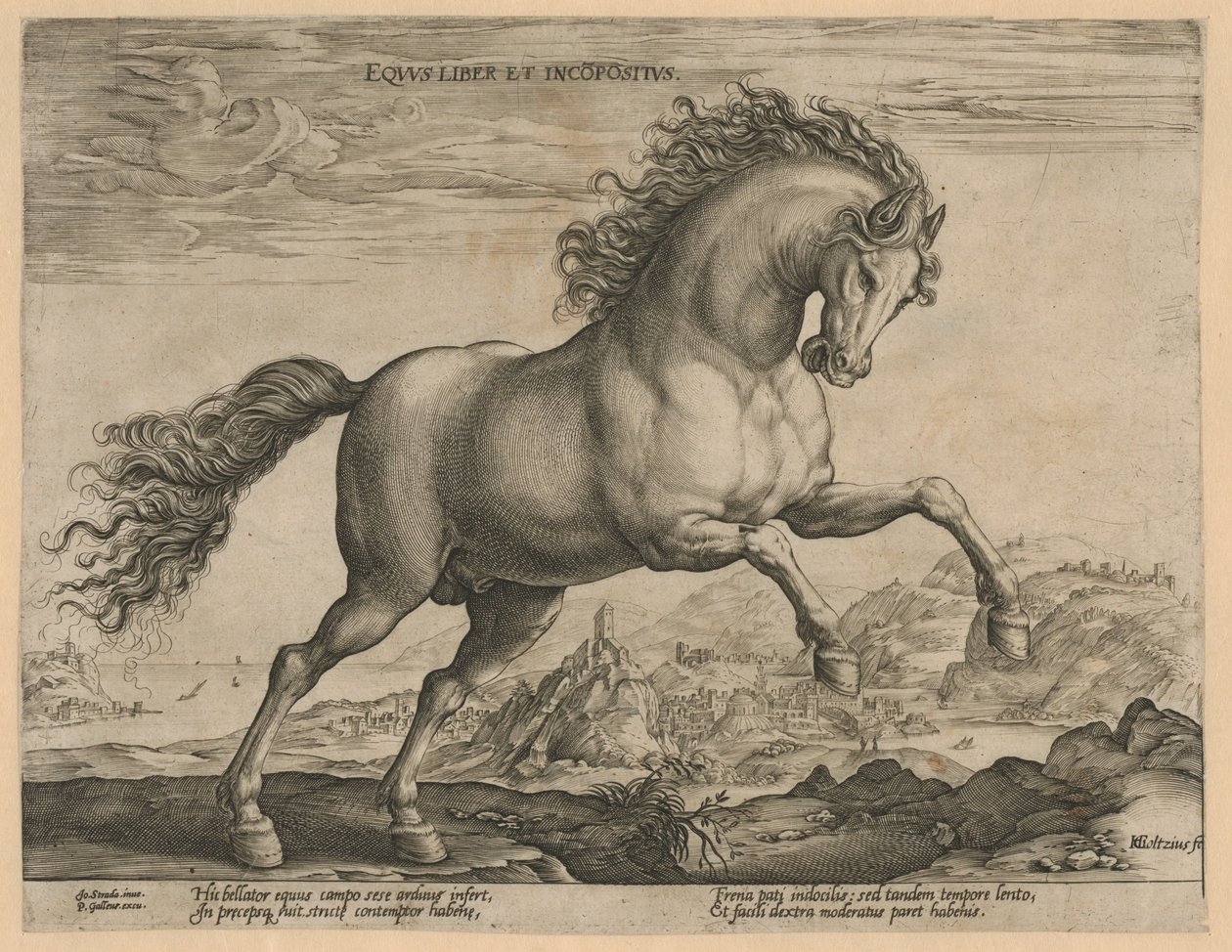 vad ló Eqvvs liber et incompǒsitvs (cím az objektumon) Lófajták az osztrák Don Juan királyi istállójából (sorozat címe) alkotó: Hendrick Goltzius