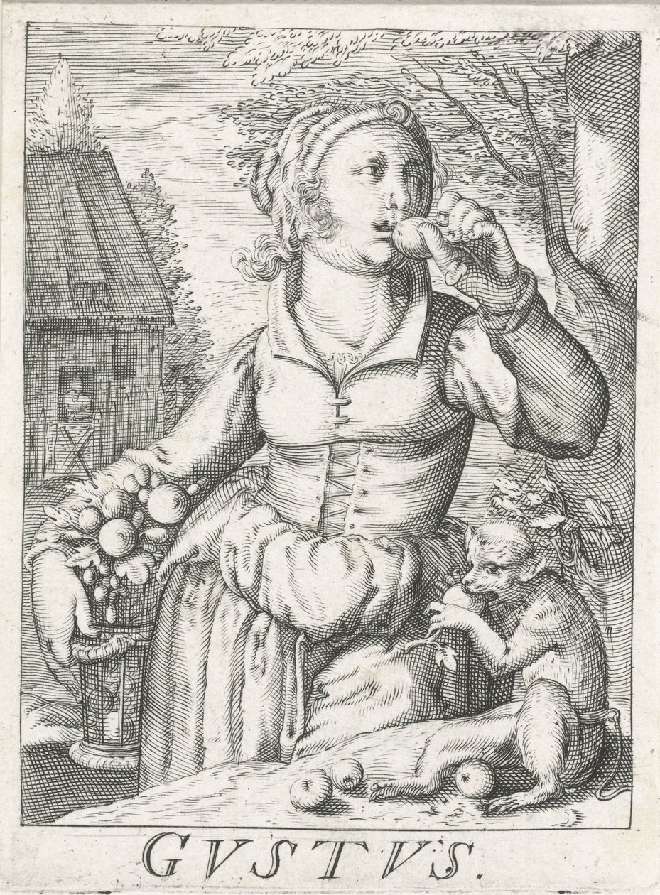 Kóstolja meg (Gustus), egy nő a gyümölcsökkel Gustus (cím a tárgyon) Az öt érzékszerv (sorozat címe) alkotó: Hendrick Hondius (rejected attribution)