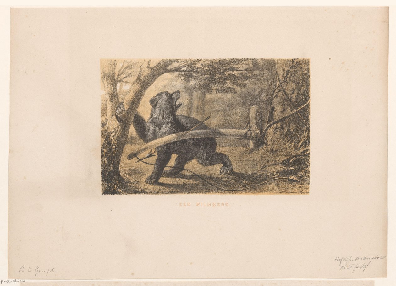medve csapdában Wildbow (cím az objektumon) alkotó: Hendrik Adriaan Christiaan Dekker