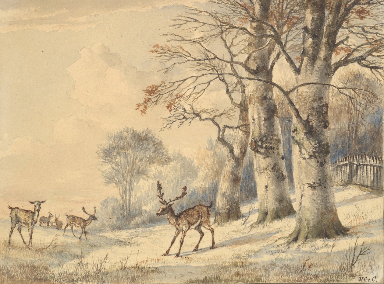 Szarvasok a bükkfák alatt nyarán, 1853. alkotó: Hendrik Gerrit ten Cate