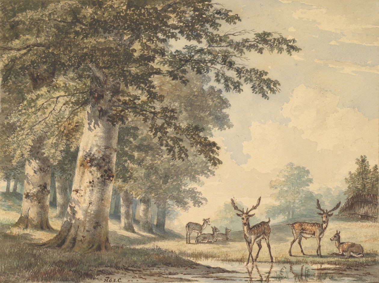 Szarvas bükkfák alatt télen, 1853. alkotó: Hendrik Gerrit ten Cate