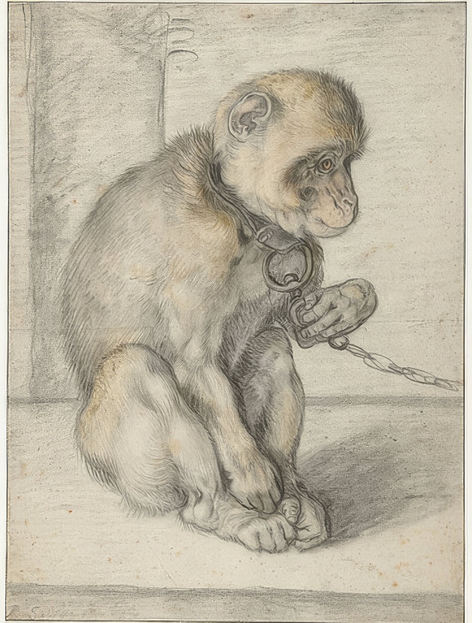Egy láncon ülő majom. 1592-1602 alkotó: Hendrik Goltzius
