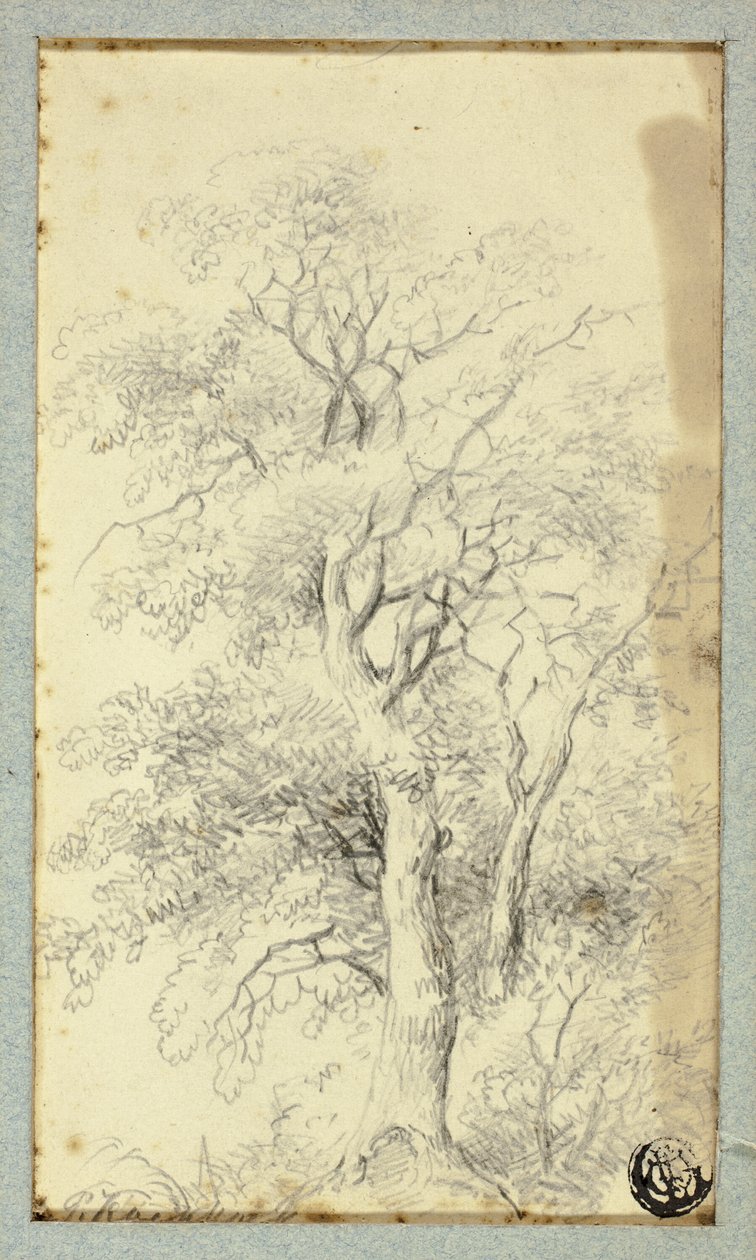 Fa alkotó: Hendrik Pieter Koekkoek