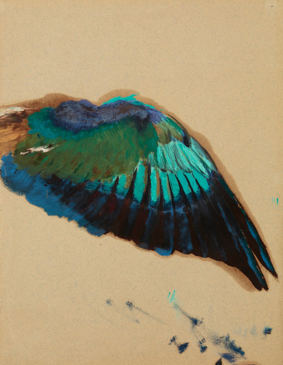 Study of a Wing, 1899 körül (olaj, papír) alkotó: Henryk Siemiradzki