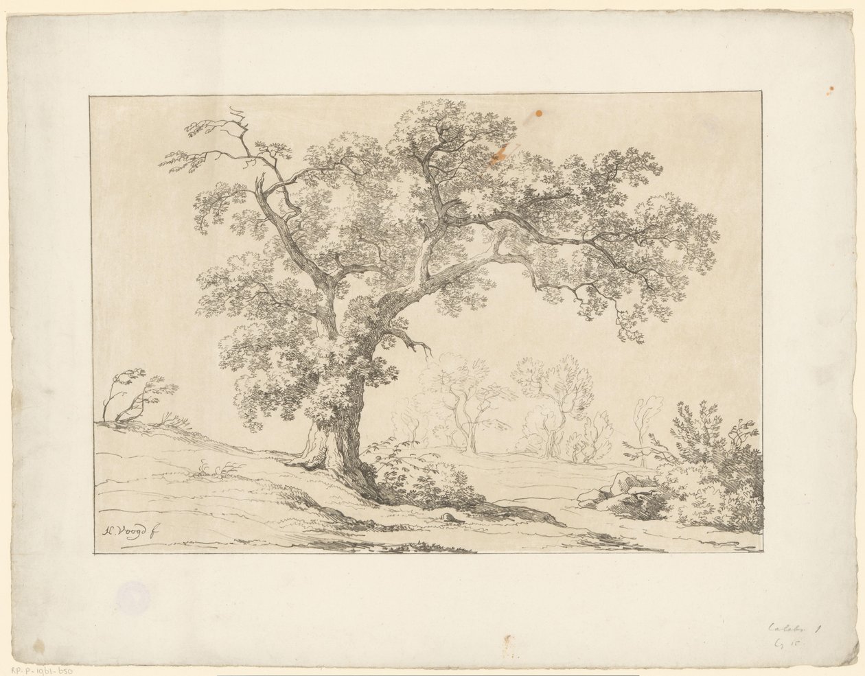 Fa a tájban Tentamina Lithographica (sorozat címe) Olasz tájak (sorozat címe) alkotó: Hendrik Voogd