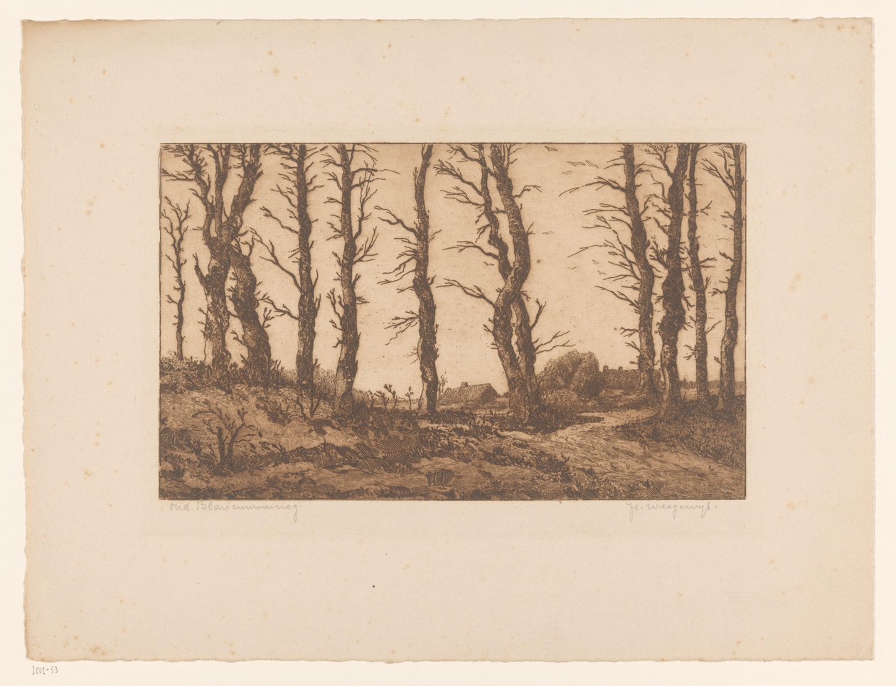 Oud Blaricummerweg (eredeti cím a tárgyon) alkotó: Hendrik Weegewijs (signed by artist)