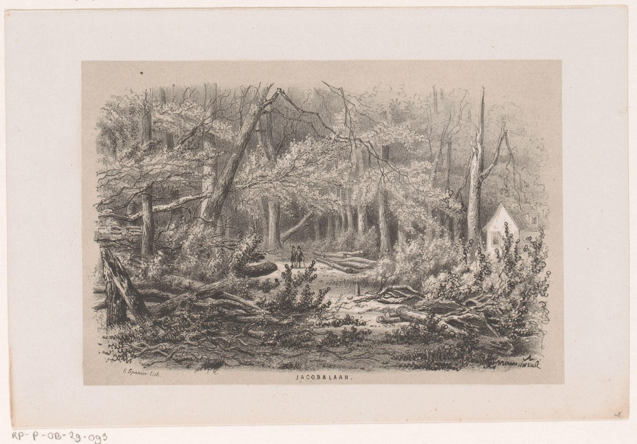 Kidőlt fák a Jacobalaanon, az 1860. május 28-i vihar után Jacobalaan (cím a tárgyon) Tíz litografált vázlatot tartalmazó album, amely Toneeelen van de Verwoestinget ábrázolja, akit az 1860. május 28-i vihar sújtott a Gravenhaagsche Boschban, alkotó: Hendrik Wilhelmus Last
