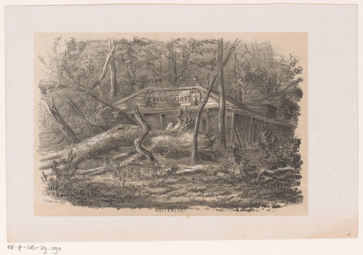 Az 1860. május 28-i vihar után Buitenlustnál lerobbant a fa Buitenlust (cím az objektumon) Tíz litografált vázlatot tartalmazó album, amely a pusztulás Tooneelenjét ábrázolja, akit felkavart az 1860. május 28-i vihar a Gravenhaagsche Boschban, S. alkotó: Hendrik Wilhelmus Last