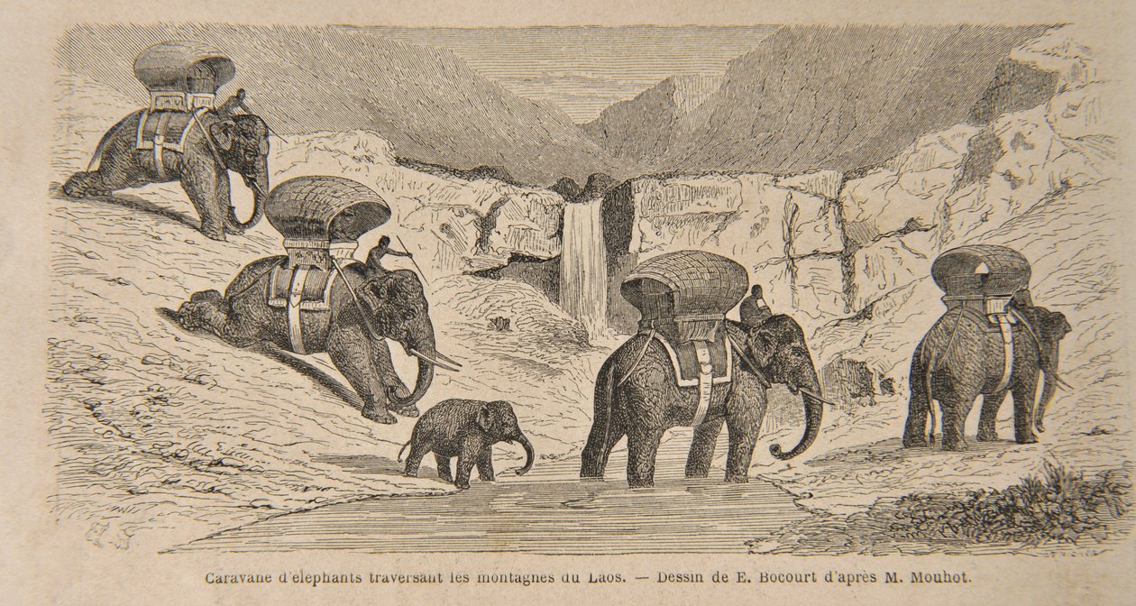 Elefántkaraván átkelés a laoszi hegyeken, E. Bocourt nyomatának illusztrációja: „Utazások Indo-Kína (Siam), Kambodzsa és Laosz középső részein 1858, 1859 és évek során alkotó: Henri Mouhot