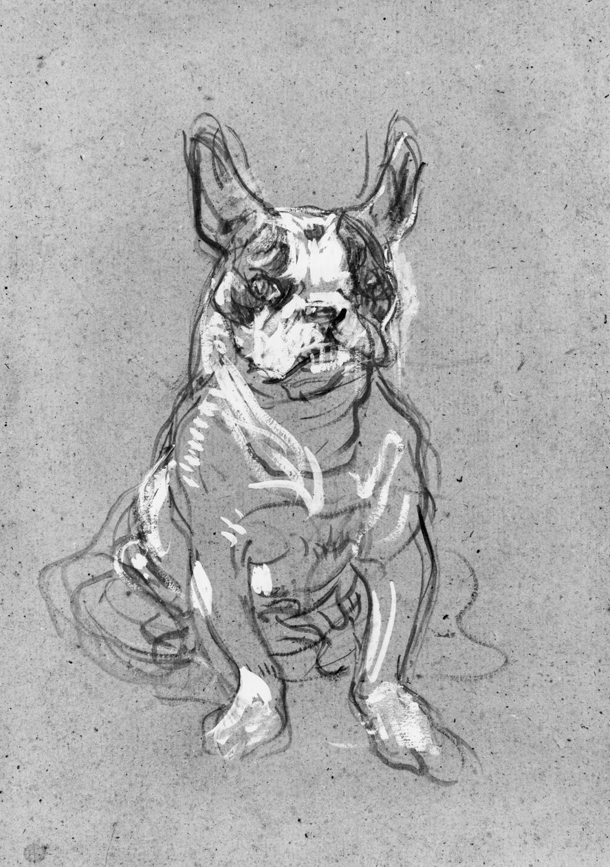 „Bouboule”, Madame Palmyre bulldogja a La Souris-ban, 1897 (olaj, karton) alkotó: Henri de Toulouse Lautrec
