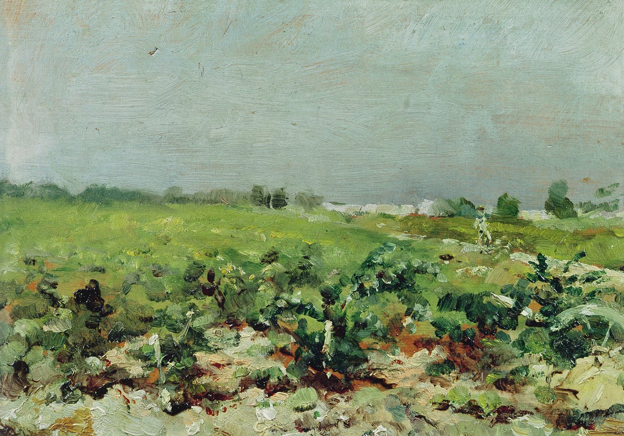 Celleyran, Kilátás a szőlőskertre, 1880 alkotó: Henri de Toulouse Lautrec