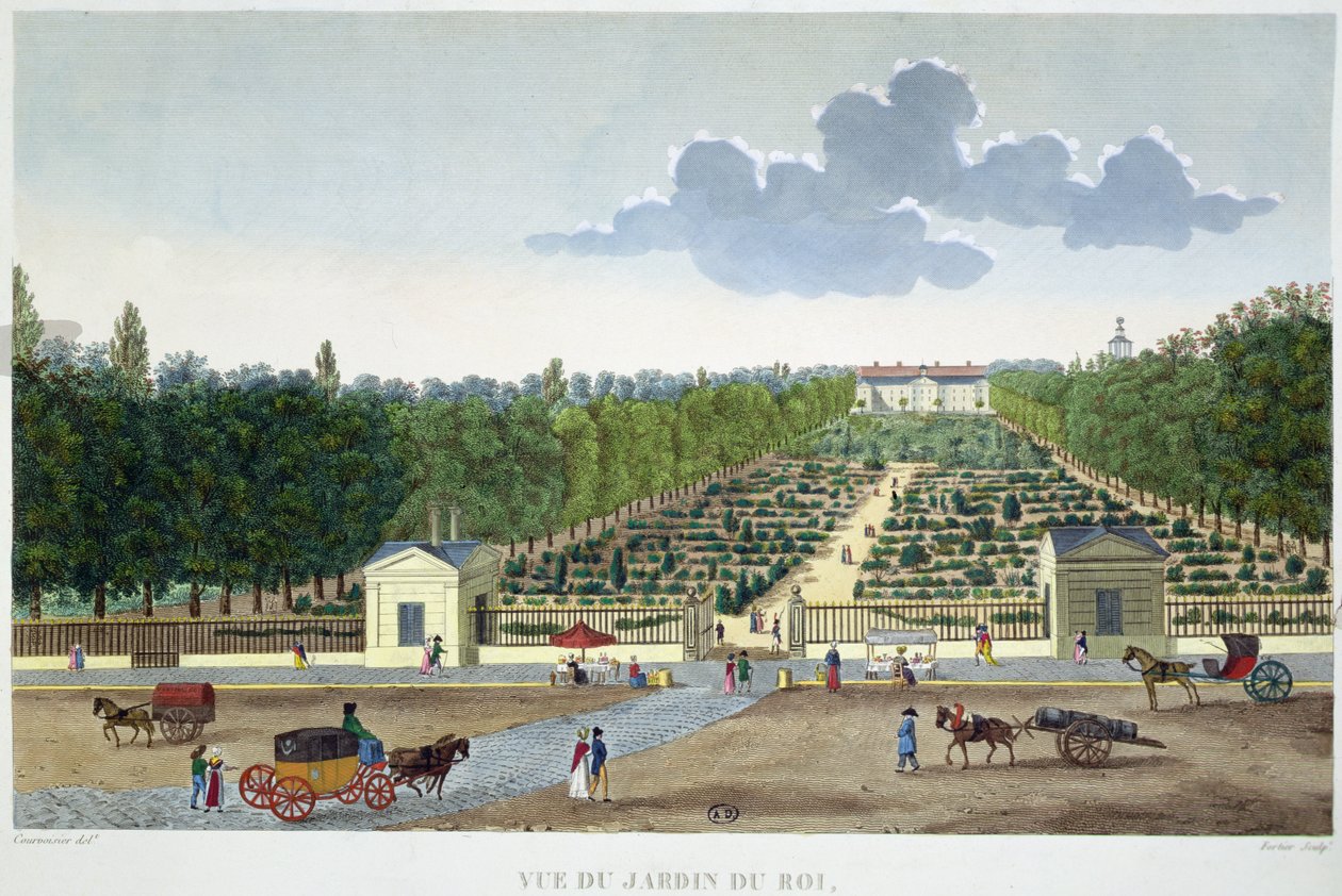 A párizsi Jardin du Roi látképe az Austerlitz hídról, Claude Fortier (1775-1835) metszete (színes metszet) alkotó: Henri (after) Courvoisier Voisin