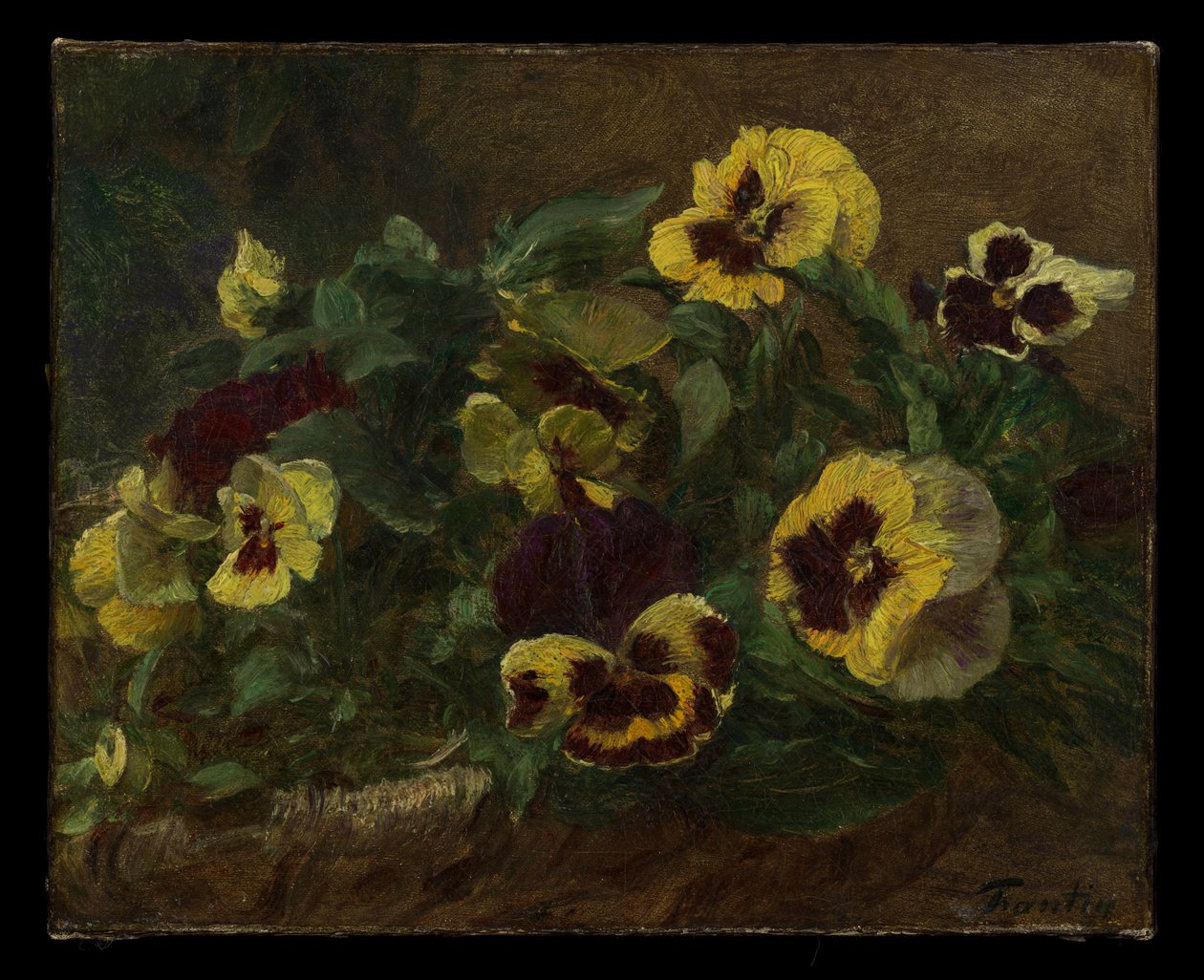 Pansies alkotó: Henri Fantin-Latour