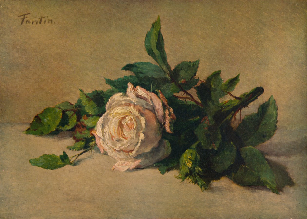 Fehér rózsa, c1863, 1938 alkotó: Ignace Henri Jean Fantin Latour