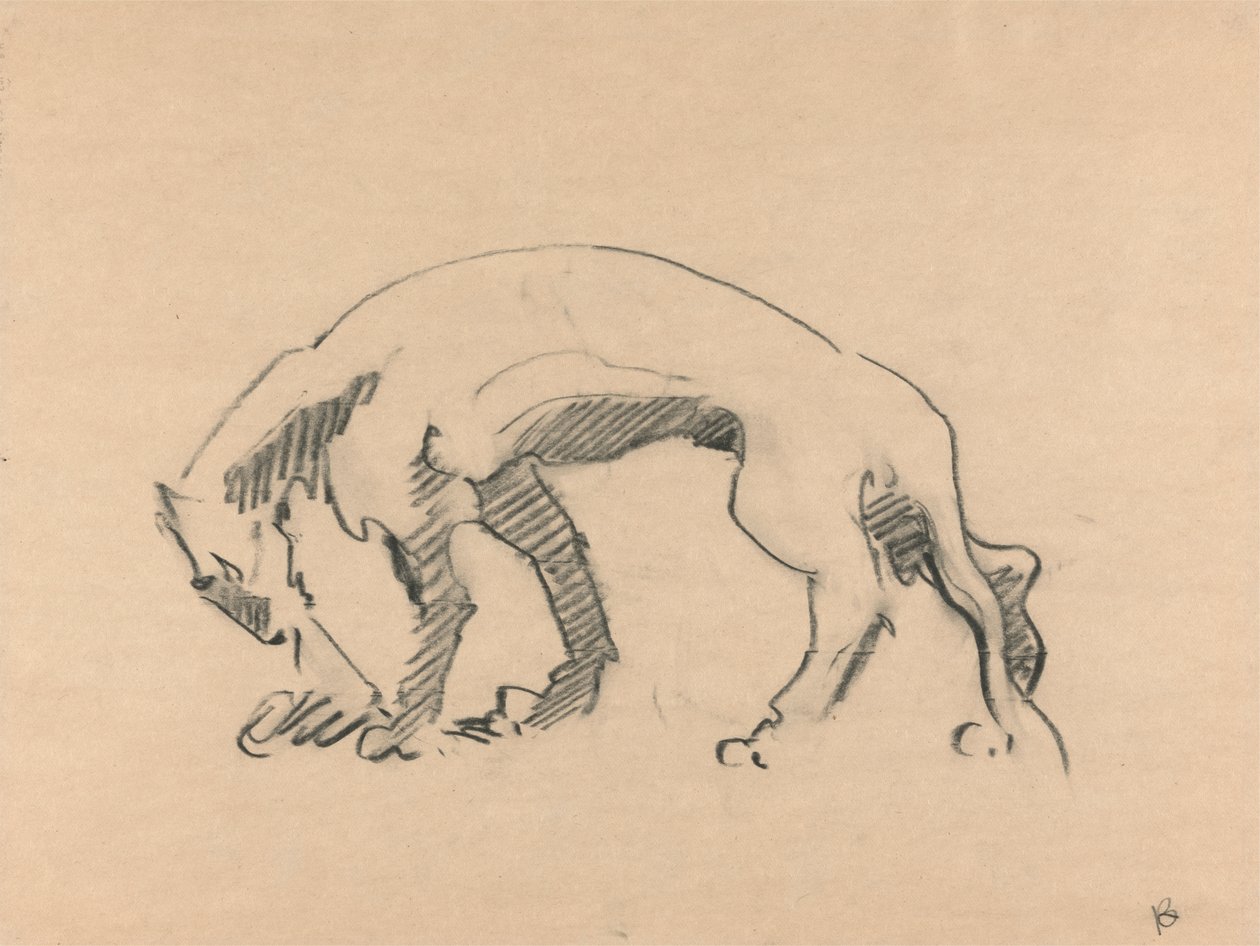 Oroszlán a profilban alkotó: Henri Gaudier Brzeska