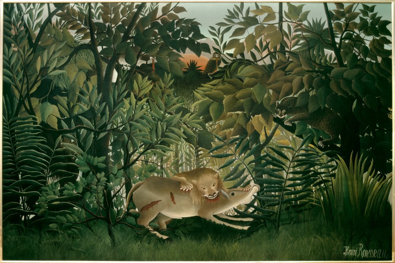 Éhes oroszlán. Henri Rousseau festménye dit Le Douanier Rousseau (1844-1910), XX. század. Olajfestmény. Méret: 2,00 X 3,00 m. Bale, Szépművészeti Múzeum alkotó: Henri J.F. Rousseau